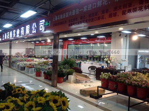 鮮花冷庫設計安裝.jpg