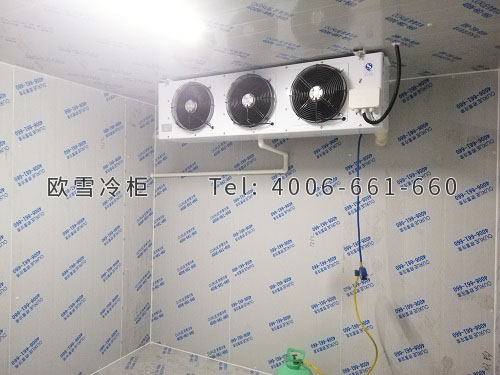雪糕冷庫建設需要多少錢.jpg