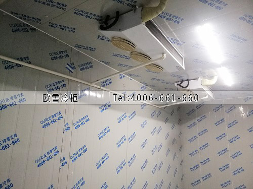 鮮花保鮮冷庫建設多少錢一平米.jpg
