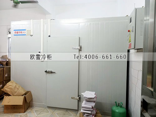 小型醫(yī)用冷藏冷庫(kù)安裝.jpg
