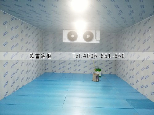 冷凍冷庫(kù)安裝.jpg