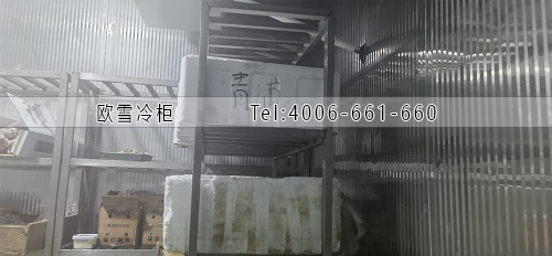 保鮮冷庫.jpg