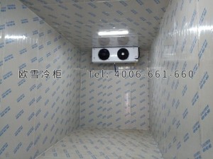 振新(重慶)農(nóng)業(yè)科技開發(fā)有限公司電商物流倉儲冷庫安裝