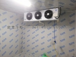 湖南中科存儲科技有限公司小型冷藏冷庫安裝
