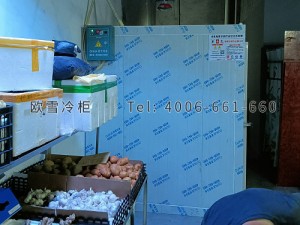 重慶巴南區(qū)果蔬專賣店小型保鮮冷藏冷庫安裝