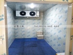 重慶市渝北區20立方的小型飲料冷藏冷庫安裝