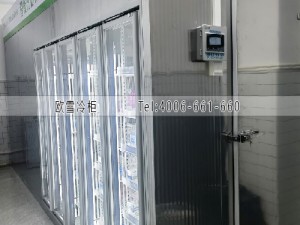 上海小型后補式疫苗冷庫安裝案例